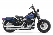 2010 Harley-Davidson FLSTSB Softail Cross Bones photo